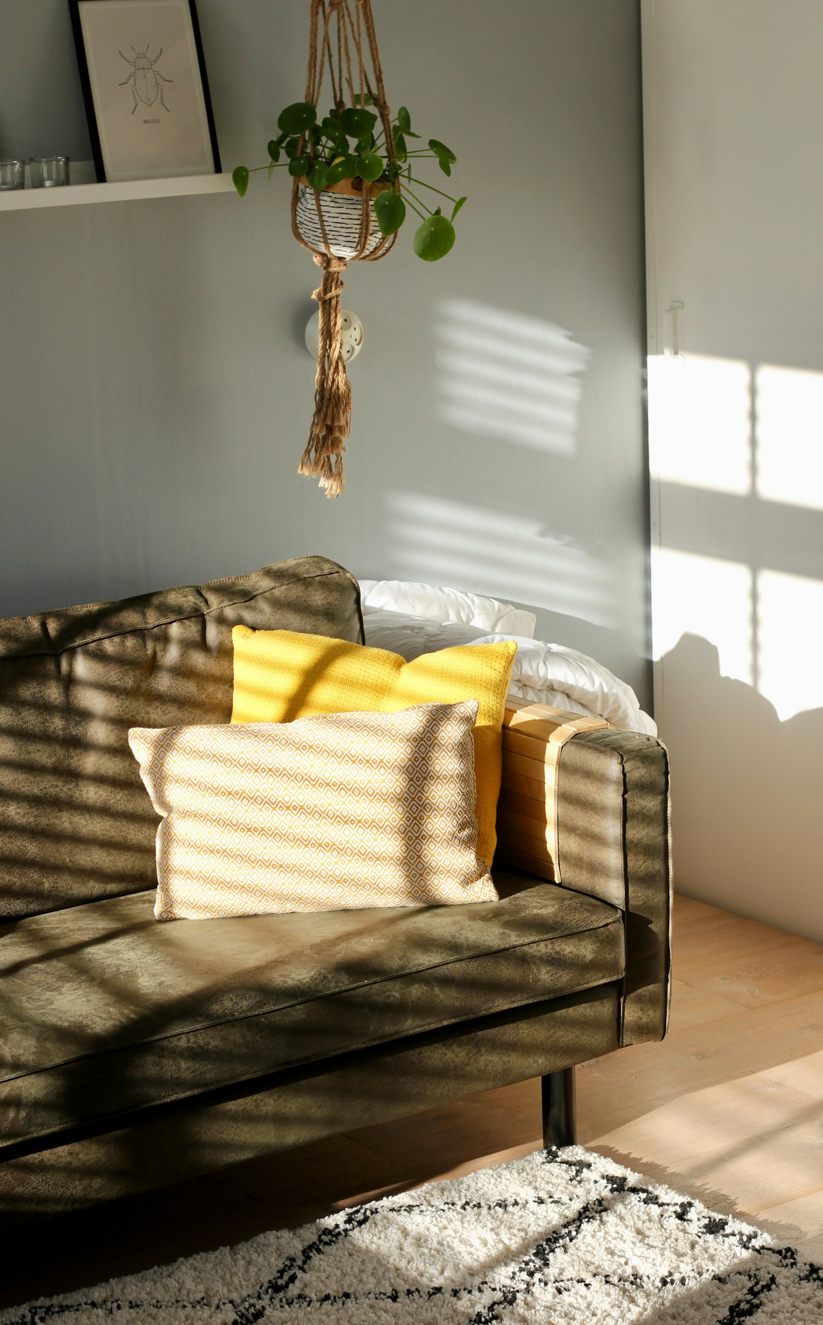 Complementi d'arredo a Torino – foto 6